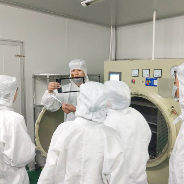 凯时KB88·(中国区)官方网站